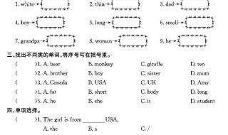 三年级下册英语期末